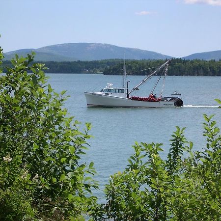 Narrows Too Camping Resort Cabin 1 Трентън Екстериор снимка